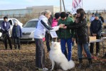 В Гае прошёл конкурс «Пёс Барбос и весёлый кросс»