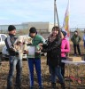 В Гае прошёл конкурс «Пёс Барбос и весёлый кросс»
