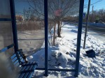 Бичевые остановки.  Фотофакт