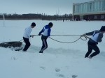 Зимний забег с препятствиями
