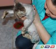 Сначала - ампутация, а потом - тихое счастье