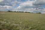 Сегодня 130 лет со дня рождения первооснователя Гая