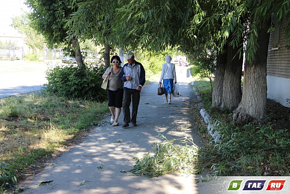 Ветер роняет ветви, срывает недозревшие плоды