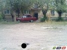 Новорожденным щенкам отрубили головы (18+)