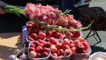 Гайчане  могут купить "подарок солнца"  и яблоки из Краснощеково по сходной цене