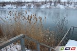 Утки рождественские. Нежареные