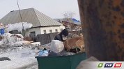 Дед, собаки и мусорные контейнеры