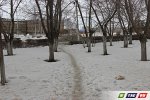 В сквере возле ЗАГСа разделали зайца (18+)