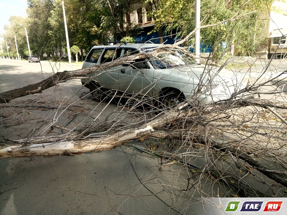 На улице Ленина на  ладу упала ветка дерева