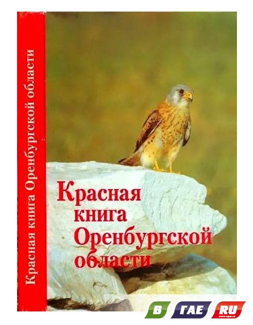 «Красную книгу Оренбургской области» можно получить бесплатно