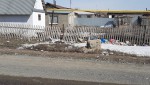 Поселок Калиновка утопает в мусоре
