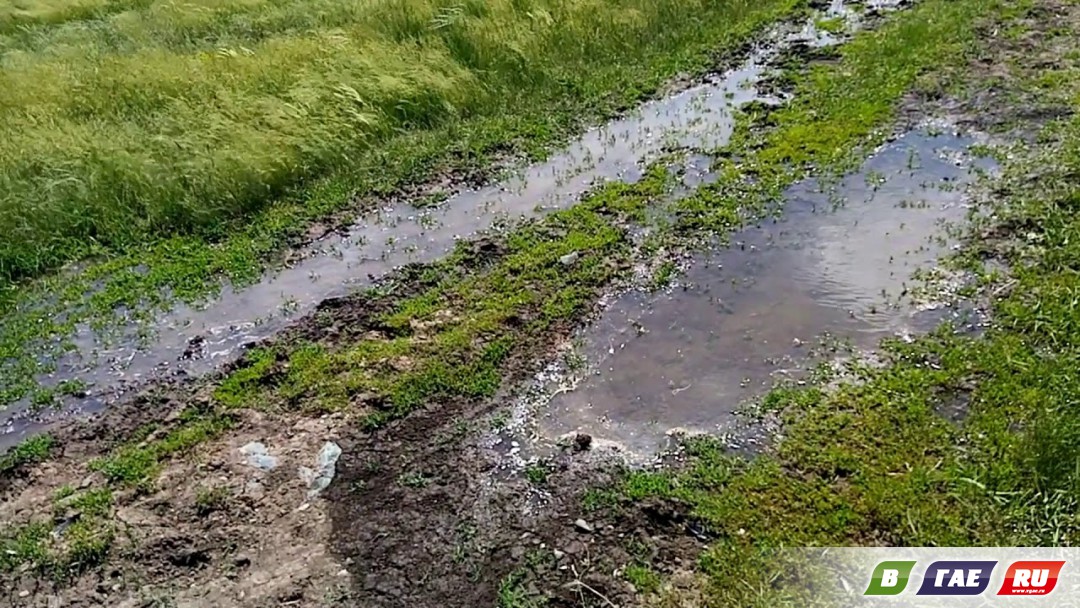 Питьевая вода Саверовки утекает в поля