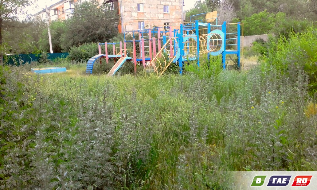 Детская площадка просто утопает в сорняках