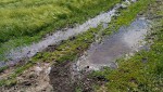 Питьевая вода Саверовки утекает в поля