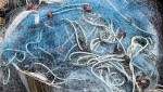 Из-за рипусов гайчанин может отправиться в колонию на 5 лет