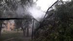 Упавшее дерево переломило трубу воздушной теплотрассы