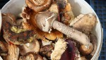 Гайчане охотно покупают разносортные грибы из лесов Башкирии