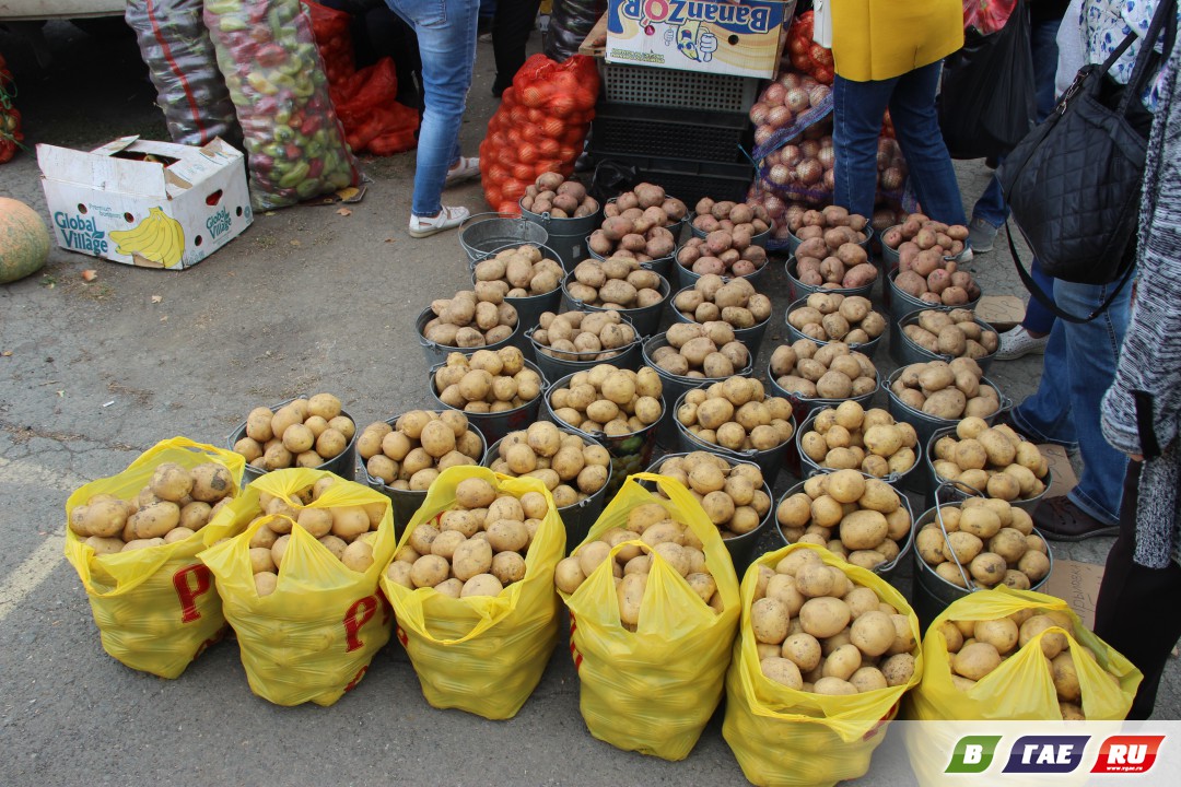 Сколько стоит картошка: о цене за ведро и за килограмм