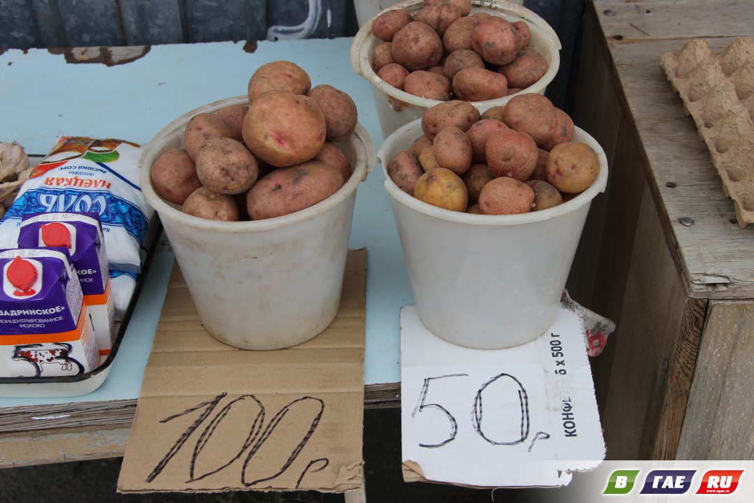 Цена семян картошки высадить цветы семенами