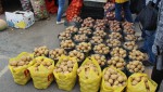 Сколько стоит картошка: о цене за ведро и за килограмм