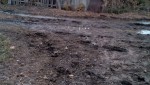 В Новониколаевке случился порыв трубы, вода залила подворье сельчан