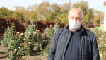 Полувековой чугунный забор переехал в розарий Владимира Комарова