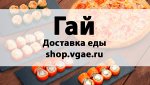 Гай! Все пиццы и роллы в одном месте shop.vgae.ru