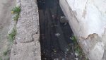 Подвал вышел из «берегов»: вода в подъезде и возле него
