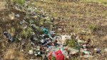 На берегу Новониколаевского пруда растут горы мусора