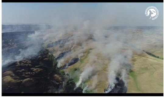 Завершилось тушение пожара в Губерлинских горах