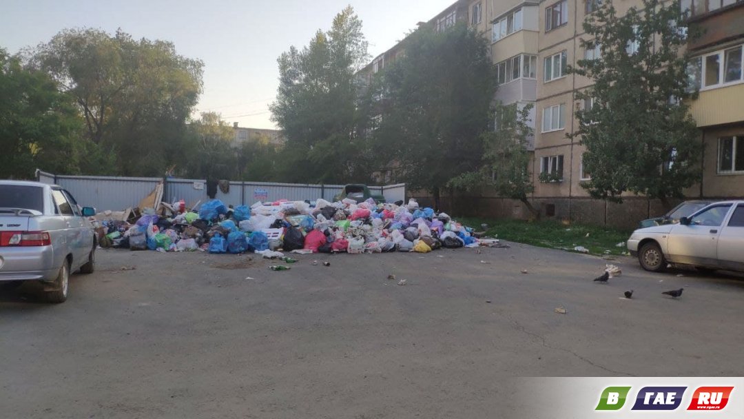 ООО Природа обвинила администрацию ГГО в мусорных завалах