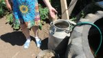 В изнуряющую жару жители с.Писаревка Гайского округа остаются без воды