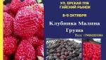 Свежая ягода из Киргизии! Только 2 дня в Гае