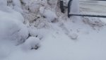 Гайчанин озабочен засыпкой снегом дорожных ограждений