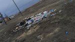 Жители Новониколаевки выслали фото мусорных площадок