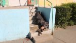 Мужчина упал на крыльцо магазина и спит на солнцепеке