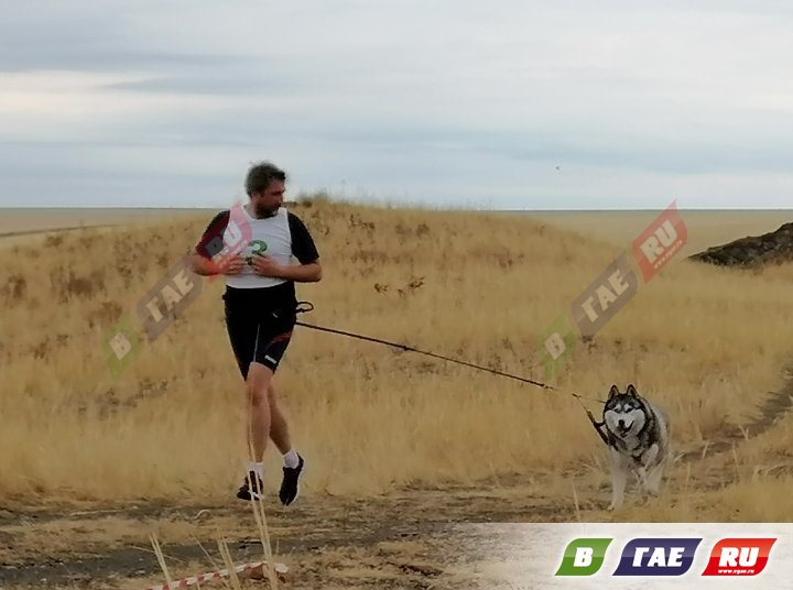 Спортсмены приняли участие в забеге с собаками