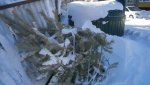 В Оренбургской области выброшенные елки будут дробить