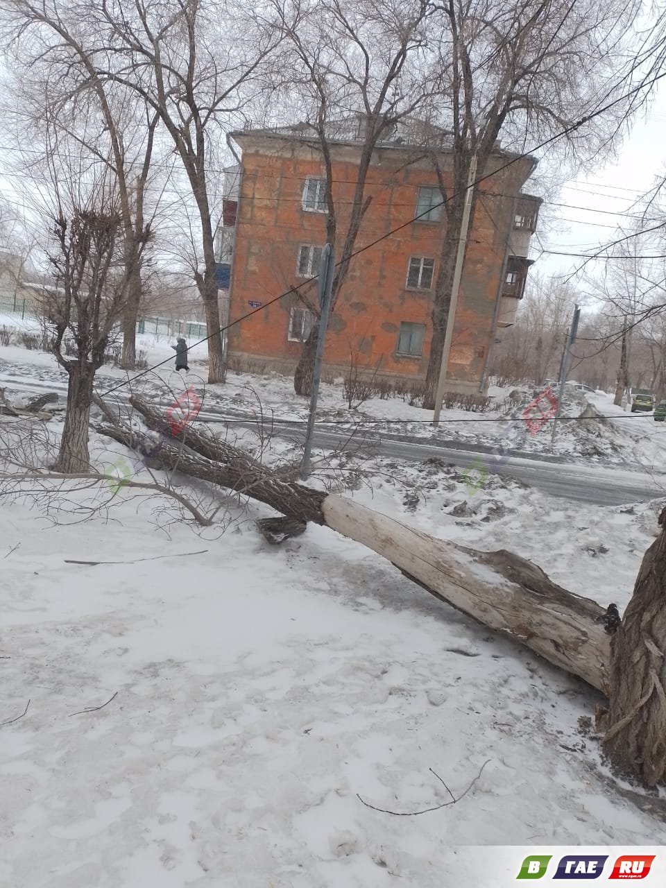На провода упало дерево