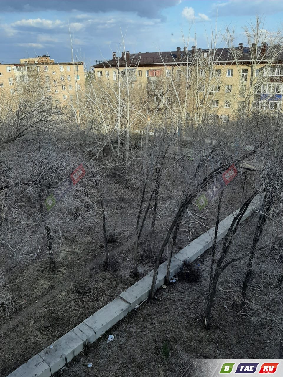 Берендеев лес» вырос в центре Гая » Гай ру — новости, объявления