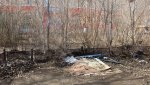 Это тоже Гай. Территория возле бывшего 36 магазина