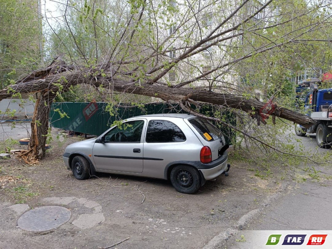 Дерево упало на машину » Гай ру — новости, объявления