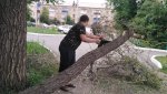 15-летний Данила убрал упавшее дерево, которое пролежало почти 2 недели