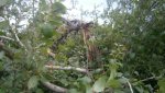 Синоптики вновь предупреждают об усилении ветра