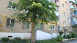 Спуск 33-летнего гайчанина с балкона завершился госпитализацией