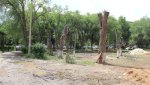 Во дворе бывшей вечерней школы обрезали деревья