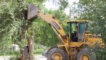 На ул.Декабристов выкорчевывают деревья для строительства киоска