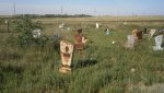 Сироты и после своей смерти остаются сиротами