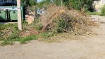 Пожароопасный период, а на ул.Войченко - гора сухих веток