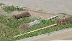 Гай накроет волна субботников